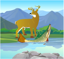 Лов и риболов, Hunting and Fishing